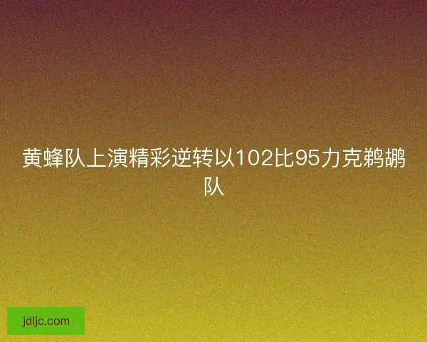 黄蜂队上演精彩逆转以102比95力克鹈鹕队 黄蜂队上演精彩逆转以102比95力克鹈鹕队